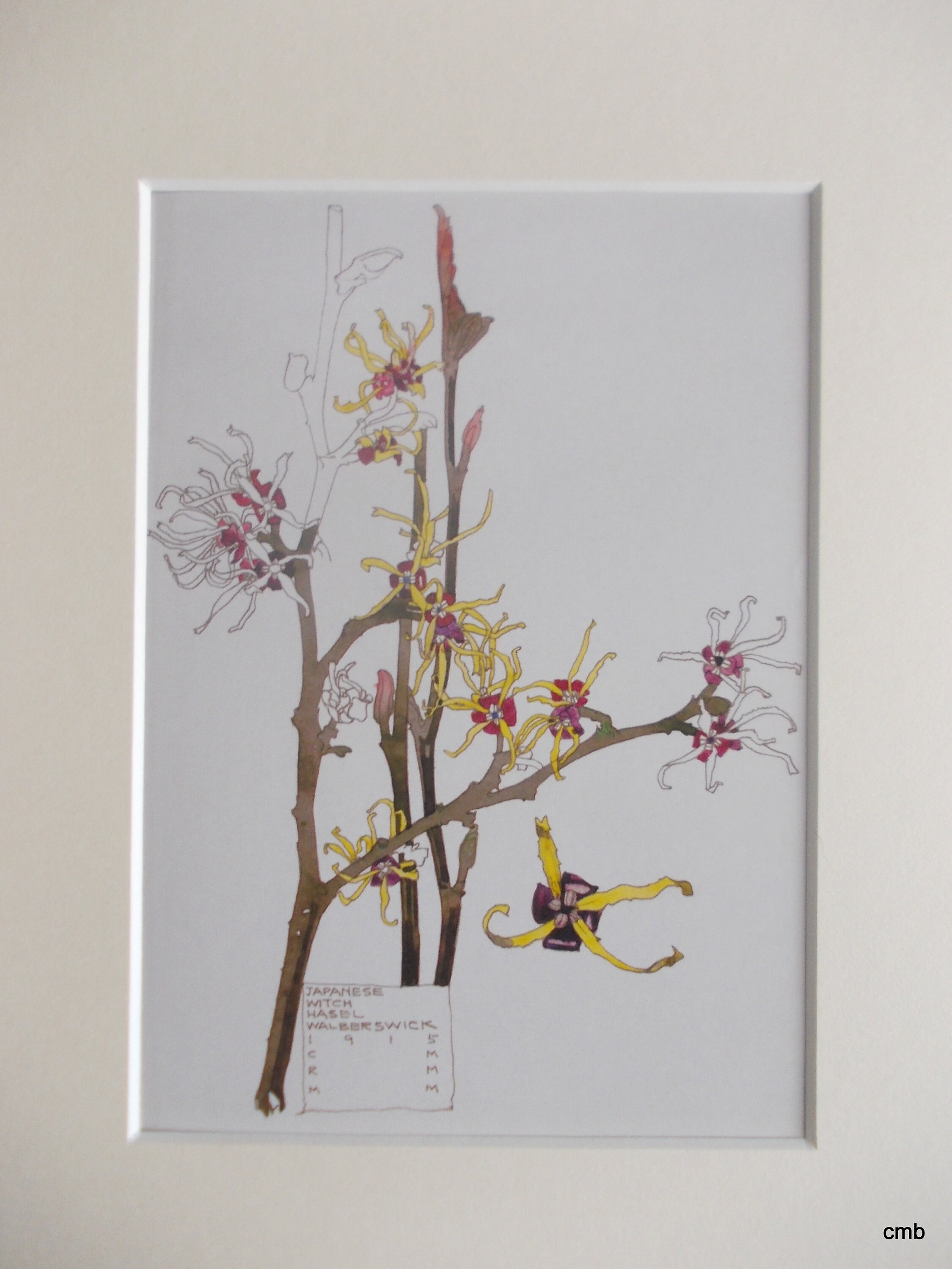 Charles Rennie Mackintosh 書籍とビデオとグッズ Charles Rennie Mackintosh The Complete Furniture /anglais
