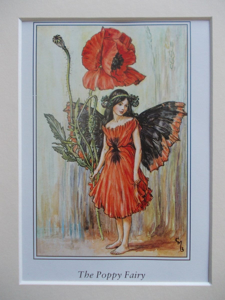 POPPY Flower Fairy / Fairies Cecily Mary Barker in 10in X 8in