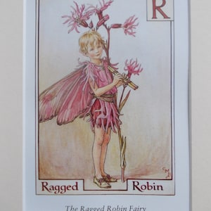 R for RAGGED ROBIN  Flower Fairy / Fairies Cecily Mary Barker in 10in x 8in Ivory Mount and 8in  x 6in  Print