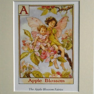 A for APPLE BLOSSOM Flower Fairy, Cecily Mary Barker in 10in x 8in Ivory Mount and 8in  x 6in  Print