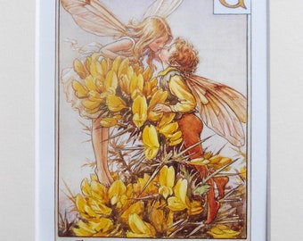 Flower Fairies: THE ROSE FAIRY Vintage Print C1930 by Cicely Mary