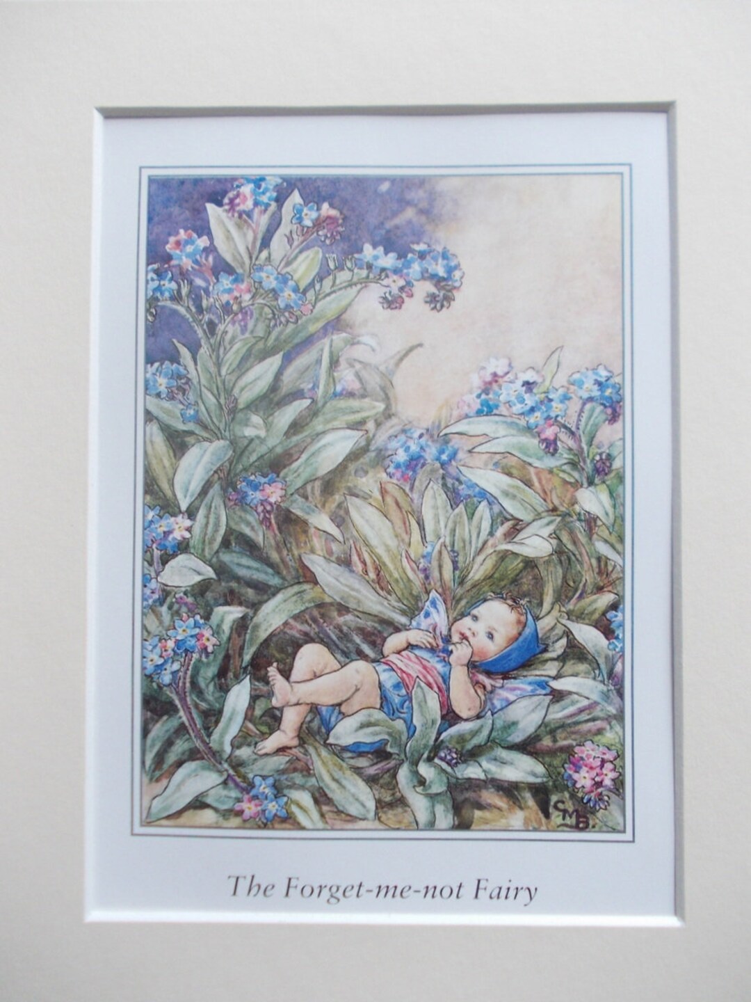 FORGET ME NOT Baby Flower Fairy / Fairies Cecily Mary Barker in 10in X ...
