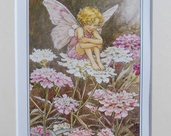 CANDY TUFT Flower Fairy, Cecily Mary Barker in 10in x 8in Ivory Mount  8in  x 6in  Print