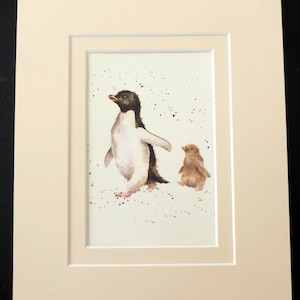 ADELIE PENGUIN - Hannah Dale - Safari Animals In 10&quot; x 8&quot; ivory Double Mount New Wrendale Design