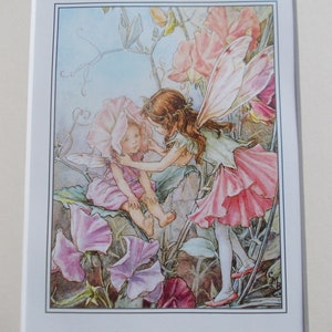 SWEET PEA  Flower Fairy / Fairies Cecily Mary Barker in 10in x 8in Ivory Mount  8in  x 6in  Print