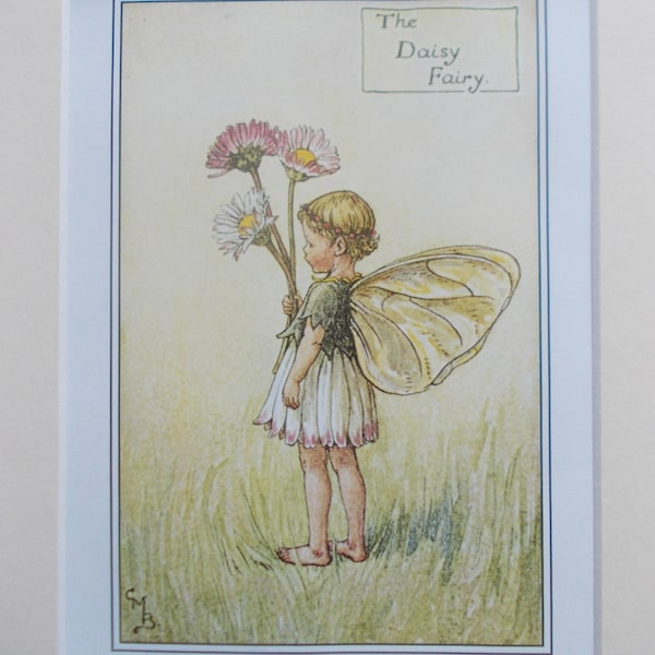 DAISY Flower Fairy, Cecily Mary Barker in 10in x 8in Ivory Mount  8in  x 6in  Print