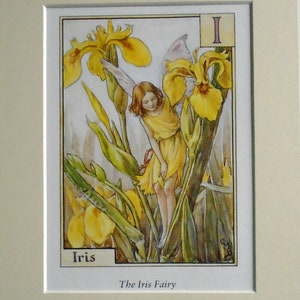 May include: A framed watercolor illustration of a fairy among yellow iris flowers. The fairy wears a yellow dress and has red hair. The artwork is labeled "Iris" and "The Iris Fairy". The background is a soft, neutral color.