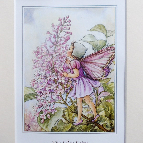 LILAC Flower Fairy / Fairies Cecily Mary Barker in 10in x 8in Ivory Mount 8in  x 6in  Print