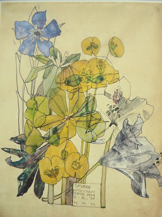 SPURGE JUNE 1909- Art Nouveau Flower - Charles Rennie