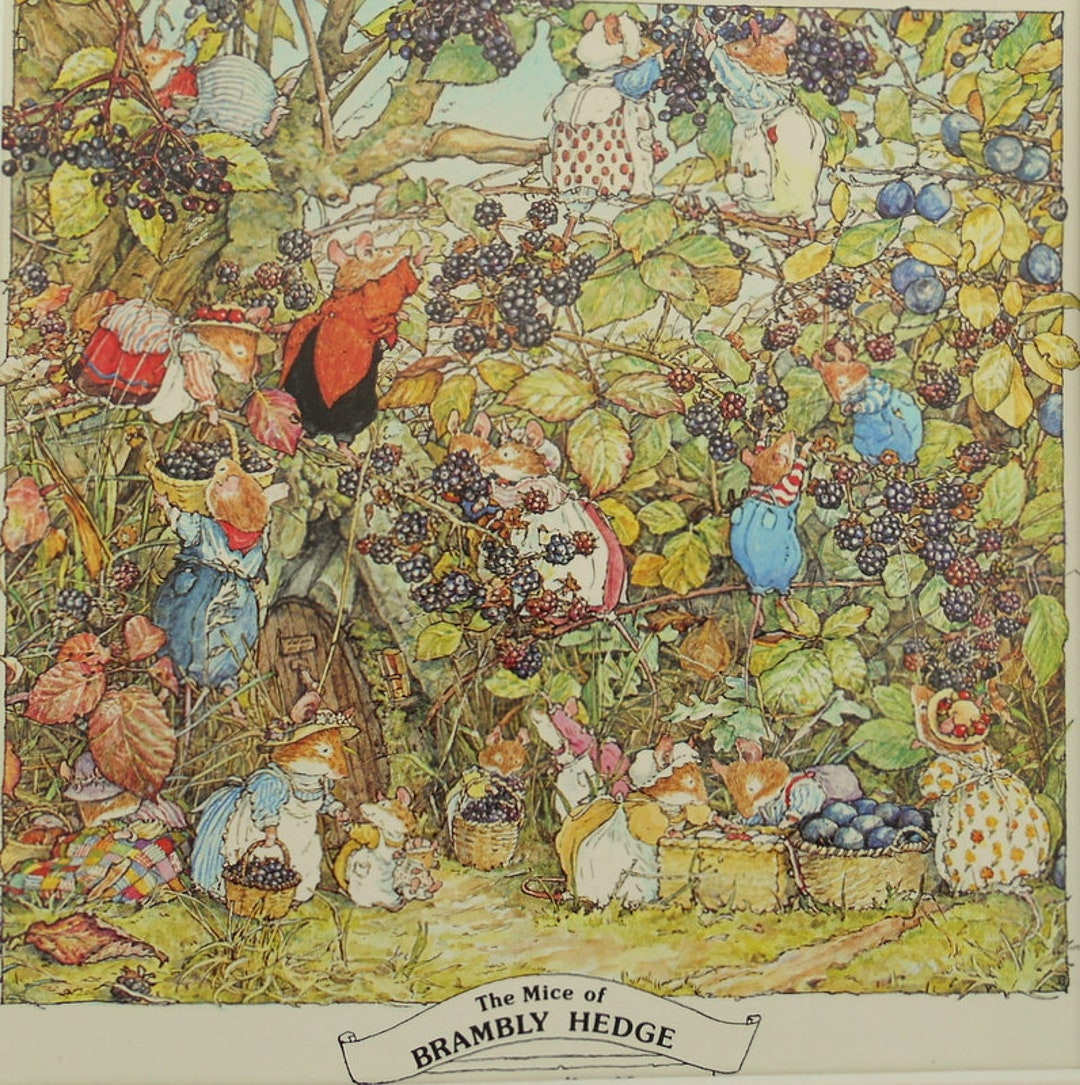 The MICE of BRAMBLY HEDGE Brambly Hedge Mounted Print 12 X 12 Ivory Mount -   Canada