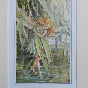 WILLOW TREE Flower Fairy, Cecily Mary Barker in 10in x 8in Ivory Mount 8in  x 6in  Print