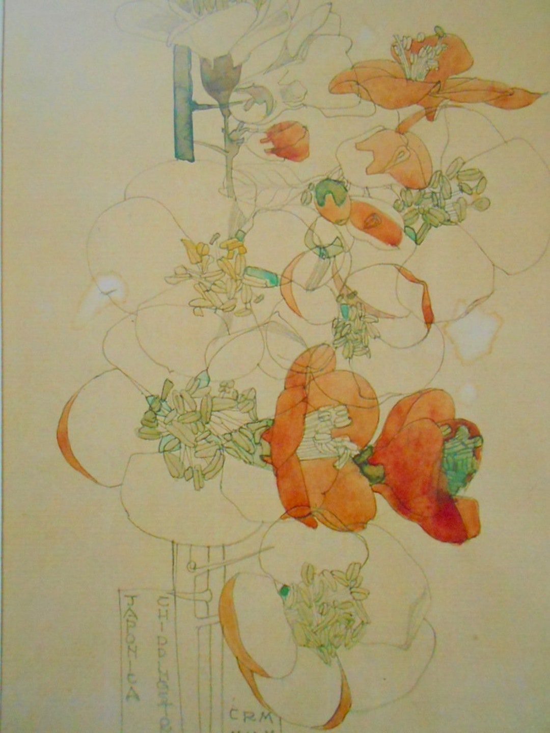 アート・デザイン・音楽 Mackintosh to Mollino: Fifty Years of JAPONICA - Charles Rennie Mackintosh - Art Nouveau