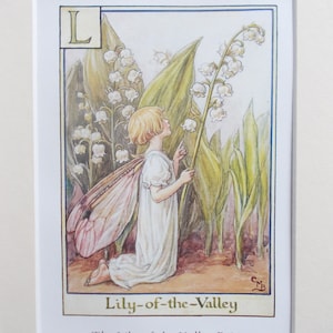 LILY of the VALLEY Flower Fairy / Fairies Cecily Mary Barker in 10in x 8in Ivory Mount   8in  x 6in  Print