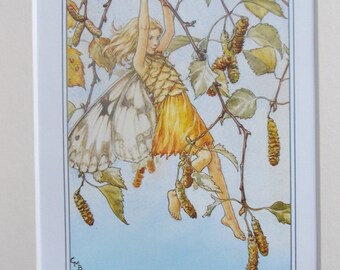 SILVER BIRCH Flower Fairy, Cecily Mary Barker in 10in x 8in Ivory Mount and 8in  x 6in  Print