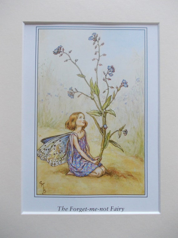 Flower Fairy / Fairies Cecily Mary Barker in 10in Etsy