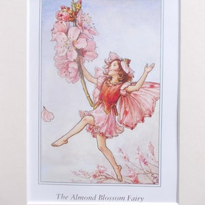 ALMOND BLOSSOM  Flower Fairy / Fairies Cecily Mary Barker in 10in x 8in Ivory Mount and 8in  x 6in  Print