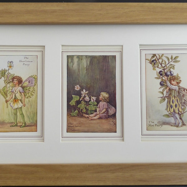 Trio of and  Flower Fairies in a Triple Ivory  Mount and Light Oak Frame dated from 1940 from Cecily Barker