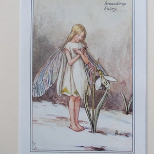SNOWDROP Flower Fairy / fairies Cecily Mary Barker in 10in x 8in Ivory Mount 8in  x 6in  Print