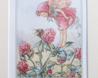 RED CLOVER Flower Fairy / Fairies Cecily Mary Barker in 10in x 8in Ivory Mount and 8in  x 6in  Print