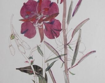 VIDEÖR - Jugend - Charles Rennie Mackintosh - Monterat tryck 25 x 20 cm