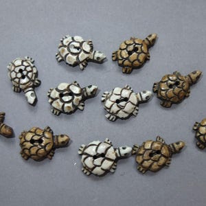 Könnte beinhalten: Eine Sammlung von elf knopfartigen Schildkröten. Die Knöpfe sind in Creme- und Brauntönen gehalten und weisen ein detailliertes Schalendesign auf. Jeder Knopf hat zwei Löcher zum Annähen. Die Knöpfe liegen auf einer grauen Oberfläche.