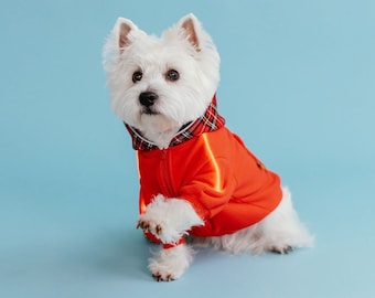 Cozy Glow Dog Hoodie with Lighted Pipe - innovative modern dog outfit item with extra safety