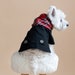 see more listings in the Scottish Dog Gifts section