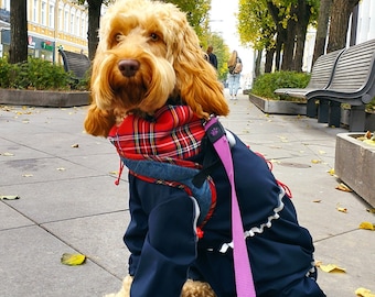 CockaPoo custom Waterproof Overall with Buckle on Chest. Adjustable. Light Reflects. Snood. Cockapoo coat. Medium Size Custom Dog clothes.