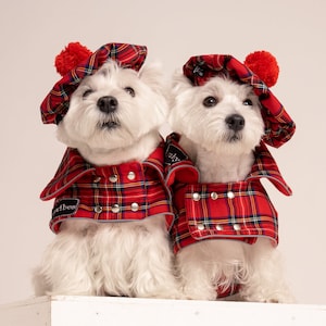 2 SETs: Westie royal Stewart red plaid COATs and CAPs. Scottish dog, warm, westie tartan jacket and hat, Tartan dog coat, christmas apparel image 4