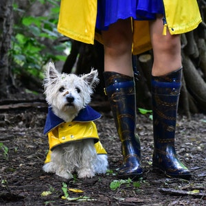 Yellow PVC Dog Coat With Reverse Navy Collar. Metal Studs. Light Reflects. Adjustable. Light or Fleece Underlayer. Small and Medium Dog Size image 4