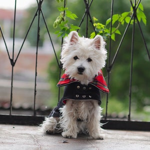 JEANS Dog COAT. Plaid Collar. Metal Studs. Tartan Dog Jacket. British Style. Warm or light version. Reflects. Custom Dog Clothes by CiuCiu