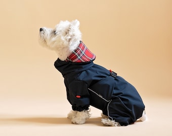 BOY Navy Buckle DOG RAINOCAT | Clothes for Small and Medium Size Dogs | Winter Dog Coats | Waterproof Dog Jackets | Westie Coats | CiuCiu