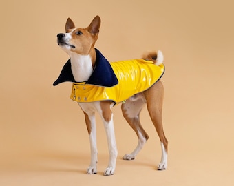 Yellow PVC Basenji Coat With Reverse Navy Collar | Fleece underlayer | Medium Dog Size | Winter dog vest | Waterproof Coat | Light Reflects