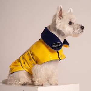 Yellow PVC Dog Coat With Reverse Navy Collar. Metal Studs. Light Reflects. Adjustable. Light or Fleece Underlayer. Small and Medium Dog Size image 1