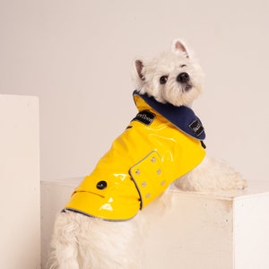 Yellow PVC Dog Coat With Reverse Navy Collar. Metal Studs. Light Reflects. Adjustable. Light or Fleece Underlayer. Small and Medium Dog Size image 2