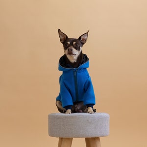 Embroidered Dog Hoodie: Cozy Fleece Sweater for Small Dogs