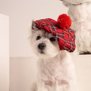 Dog Tam for Scottish. Tweed Westie Cap. Scottish Dog Hat. Dog British Accessory. Dog Hat. Westie Clothes. Festive Dog Costumes. Photoshoots