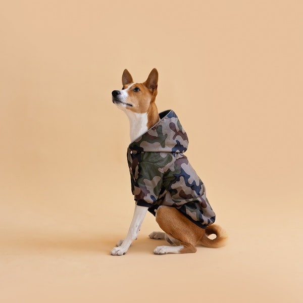 Manteau Basenji camouflage pour chien avec armoiries et capuche. Veste pour chien chaude ou légère. Manteau Basenji avec clous en métal. Vêtements pour chien personnalisés fabriqués par CiuCiu