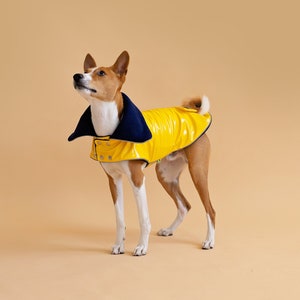 Yellow PVC Basenji Coat With Reverse Navy Collar | Fleece underlayer | Medium Dog Size | Winter dog vest | Waterproof Coat | Light Reflects