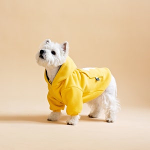 Designer Inspired Pet Apparel and Accessories – PStreetwear