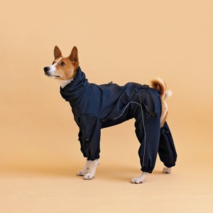 Waterproof Basenji Overall Black, Chest Buckle. Custom. Adjustable. Reflects. Snood. Basenji suit. Custom Dog clothes CiuCiu