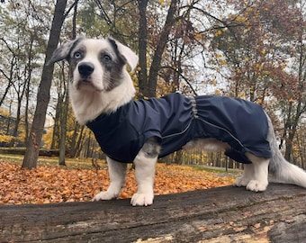 Corgi Custom Waterproof Overall with safe zip over back. Adjustable. Light Reflects. Pembroke Welsh Corgi Dog coats.