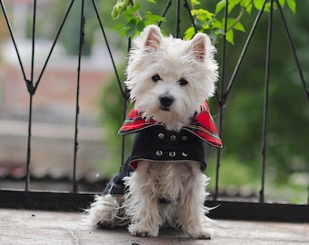 JEANS Dog COAT. Plaid Collar. Metal Studs. Tartan Dog Jacket. British Style. Warm or light version. Reflects. Custom Dog Clothes by CiuCiu