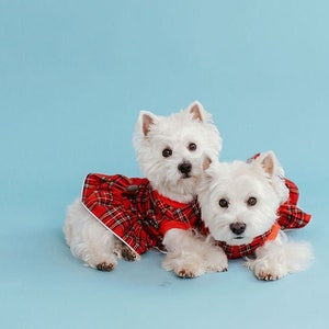 Westie outfits 2025