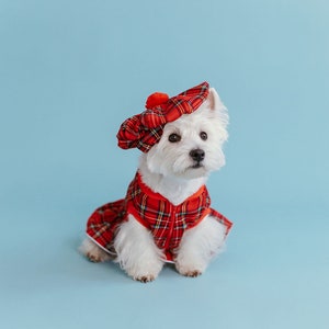 SET: plaid westie DRESS and CAP, Scottish dog dress and tam set, westie tartan parade dress and hat, tartan day dog coat, scottishdog outfit