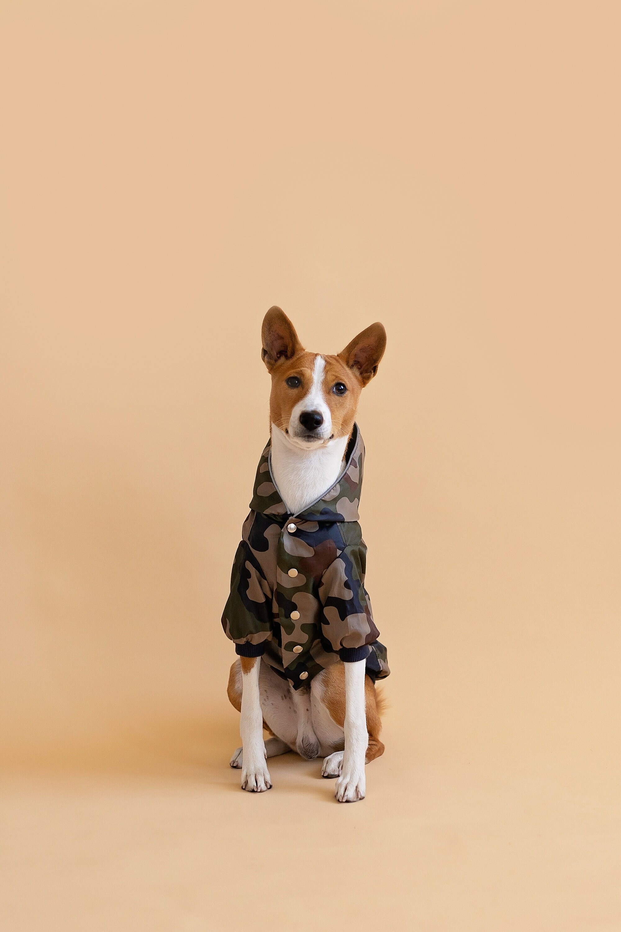 Basenji Camouflage Dog Coat With Arms and Hood. Warm or Light Etsy