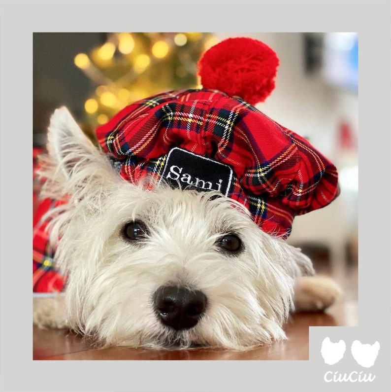 2 SETs: Westie royal Stewart red plaid COATs and CAPs. Scottish dog, warm, westie tartan jacket and hat, Tartan dog coat, christmas apparel image 10