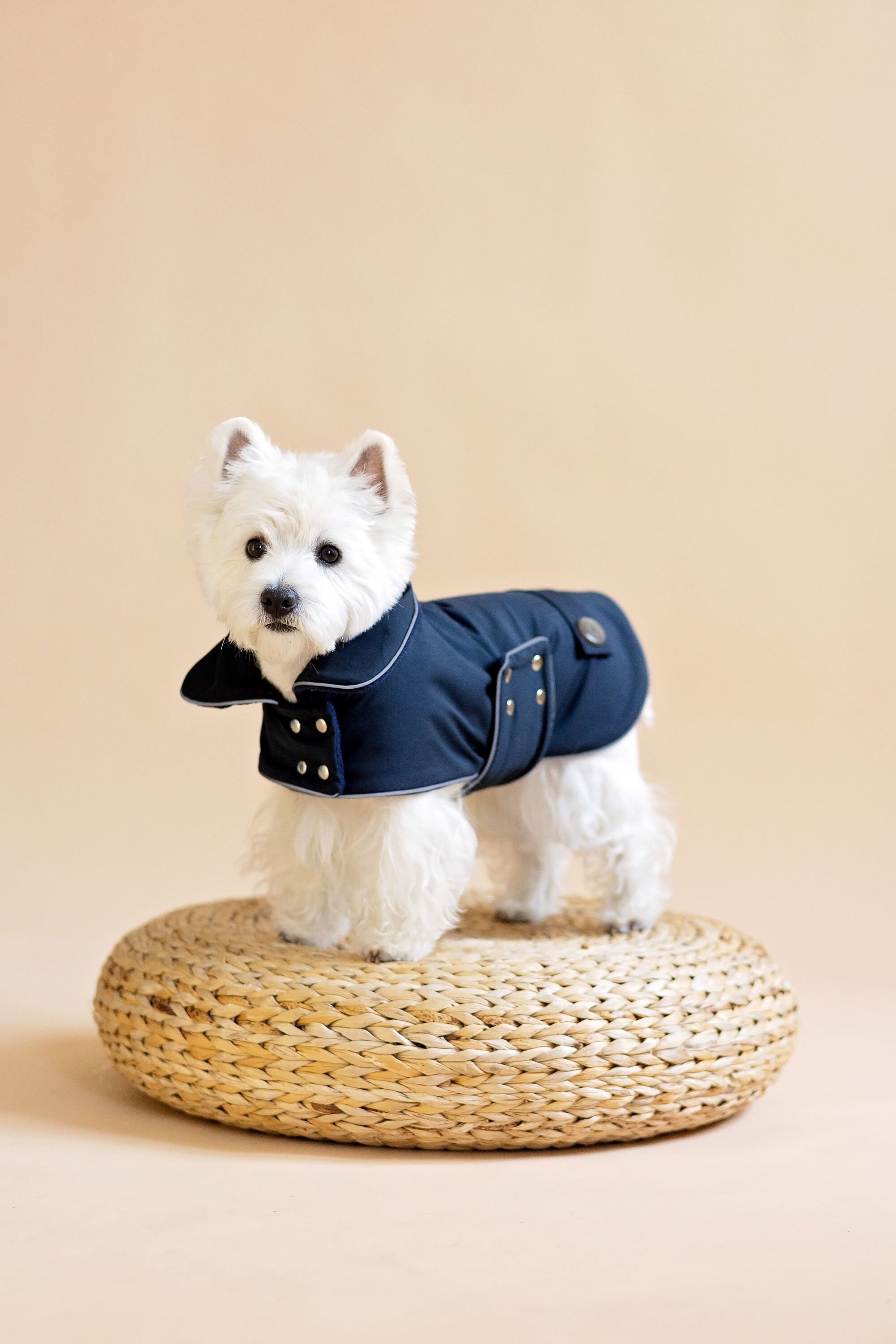 Westie raincoat cheap