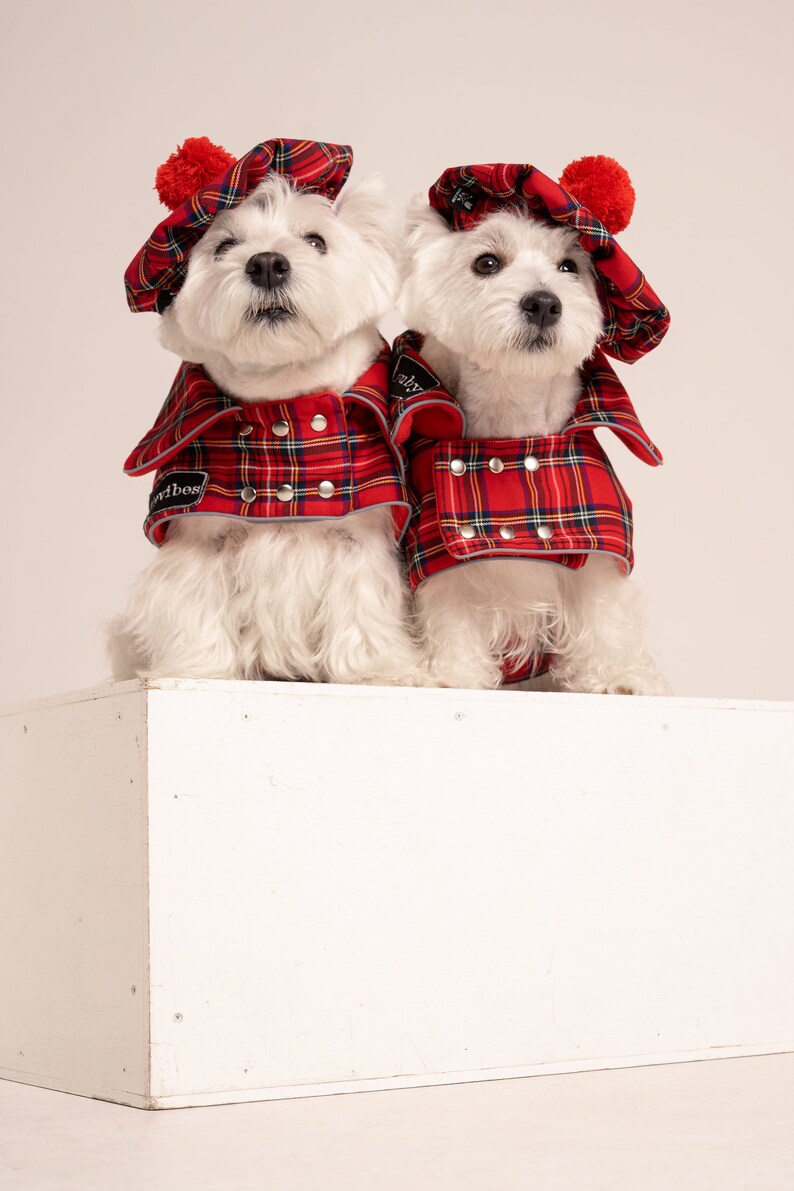 2 SETs: Westie royal Stewart red plaid COATs and CAPs. Scottish dog, warm, westie tartan jacket and hat, Tartan dog coat, christmas apparel image 4