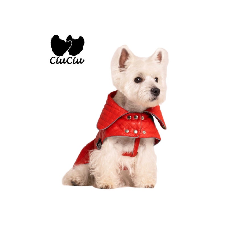 westie coat